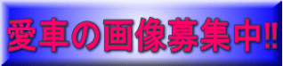���Ԃ̉摜��W��!!