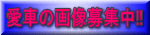 ���Ԃ̉摜��W��!!